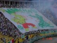 /album/galeria-de-fotos/mancha1-jpg/