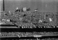 /album/galeria-de-fotos/gdf5-gif/